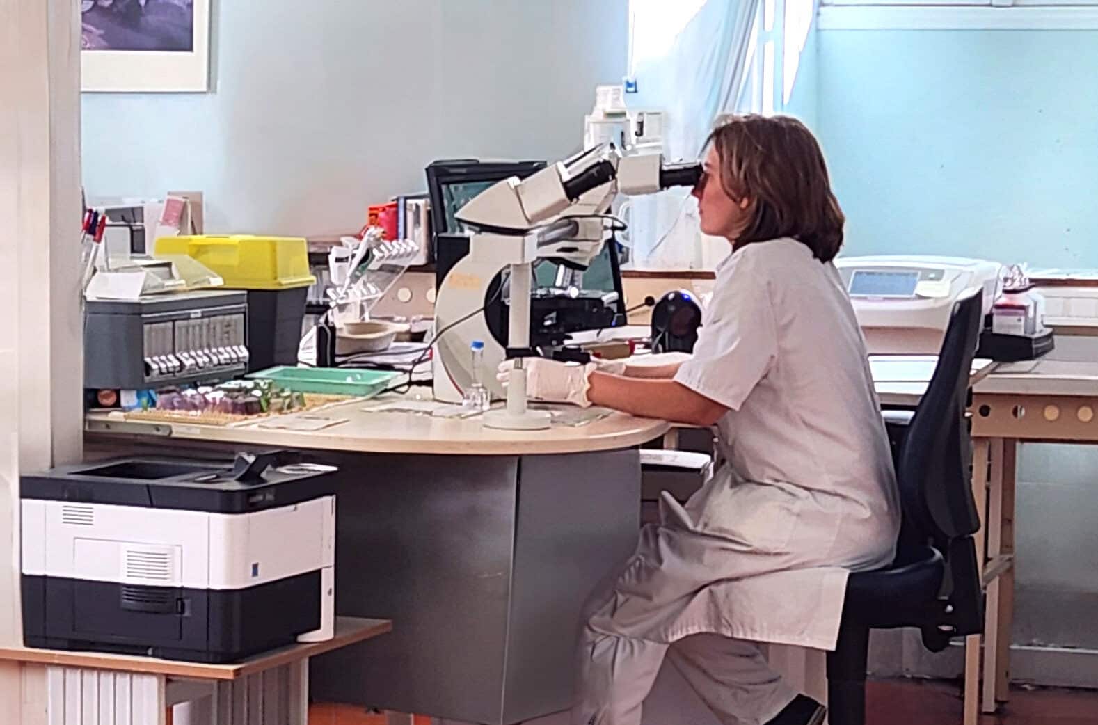 LABO_microscope
